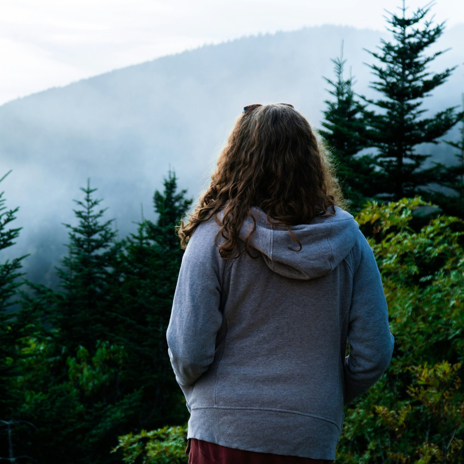 justin espejo rqsdweohupk unsplash