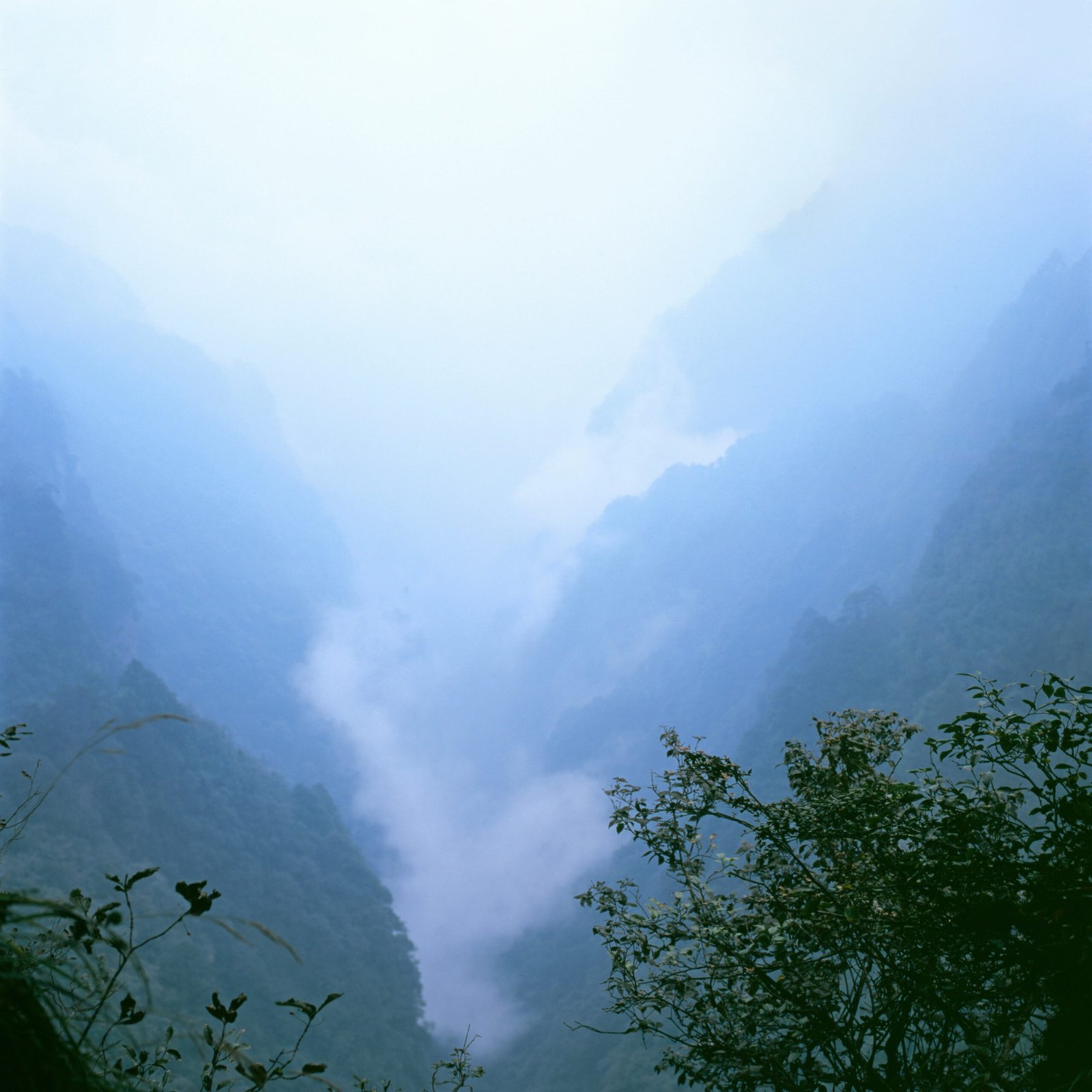 eugene nelmin aikiliavink unsplash scaled.jpg
